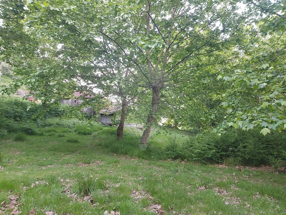 Terreno para Venda em Britelo, Gémeos e Ourilhe Foto 25