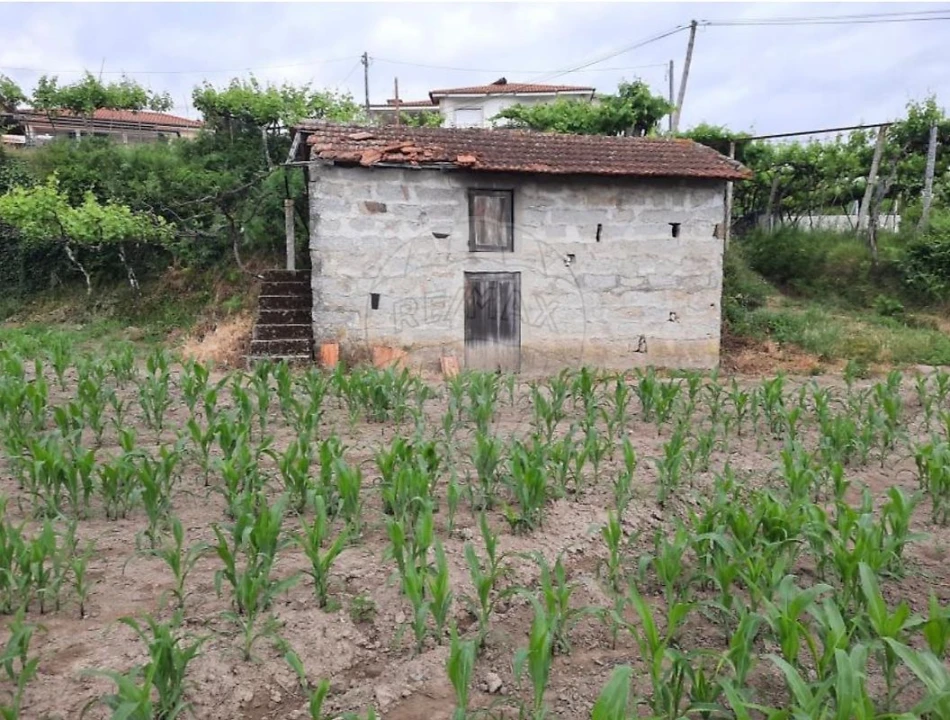 Terreno para Venda em Termas de São Vicente Foto 1