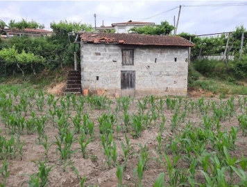 Terreno para Venda em Termas de São Vicente