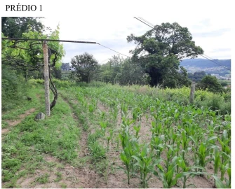 Terreno para Venda em Termas de São Vicente