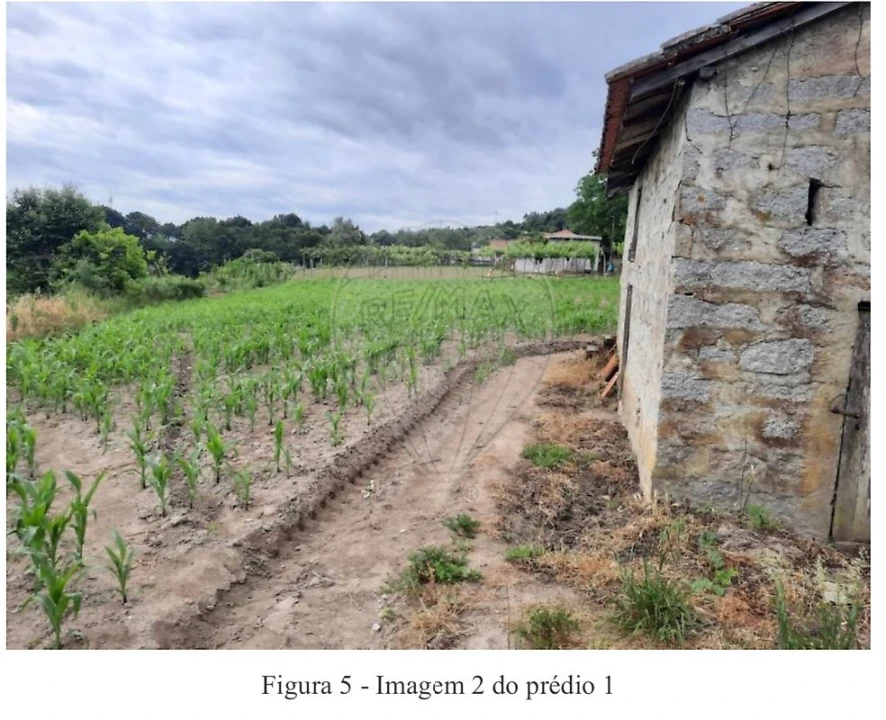 Terreno para Venda em Termas de São Vicente Foto 2