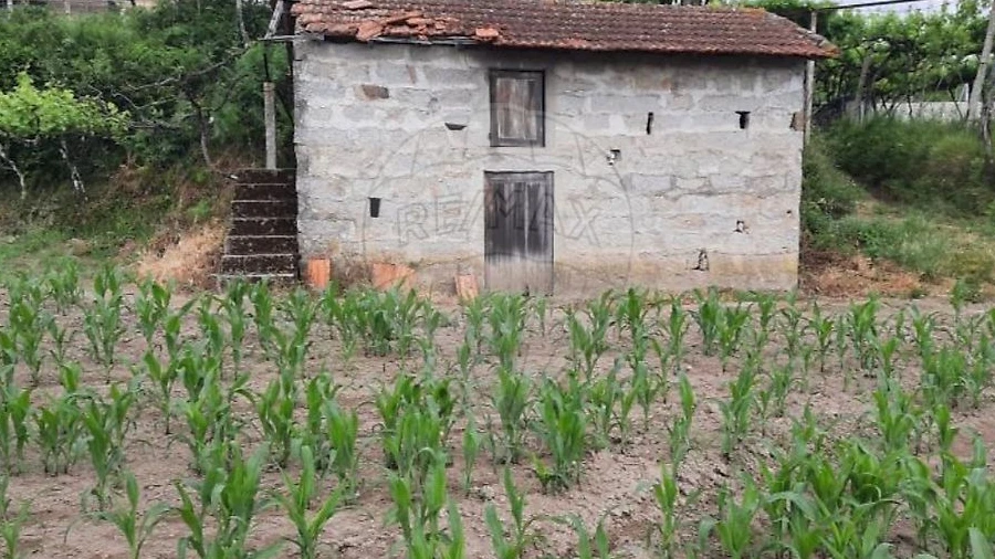 Terreno para Venda em Termas de São Vicente
