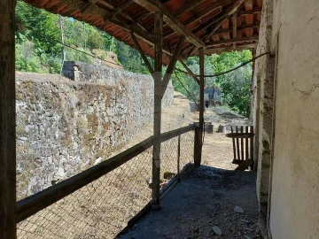 Terreno para Venda em Carvalho e Basto (Santa Tecla)