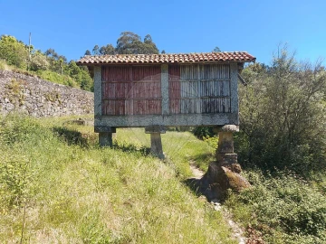 Terreno para Venda em Carvalho e Basto (Santa Tecla)