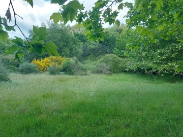 Terreno para Venda em Carvalho e Basto (Santa Tecla)