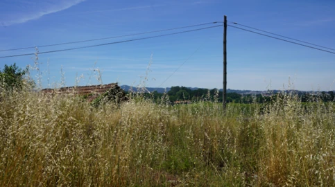 Terreno para Venda em Penafiel