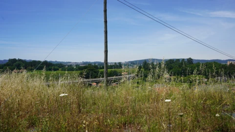 Terreno para Venda em Penafiel