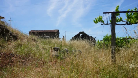 Terreno para Venda em Penafiel