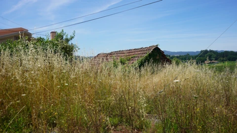 Terreno para Venda em Penafiel