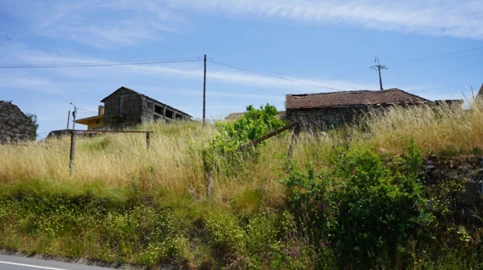 Terreno para Venda em Penafiel