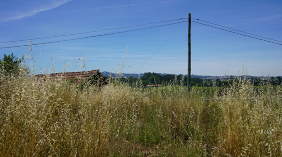 Terreno para Venda em Penafiel Foto 3