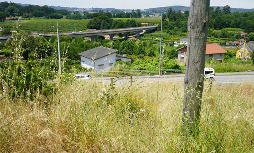 Terreno para Venda em Penafiel Foto 2