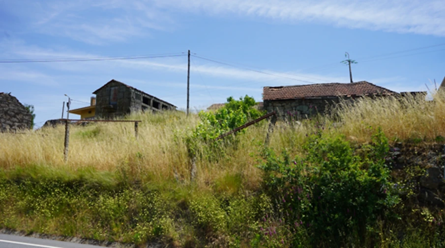 Terreno para Venda em Penafiel Foto 15