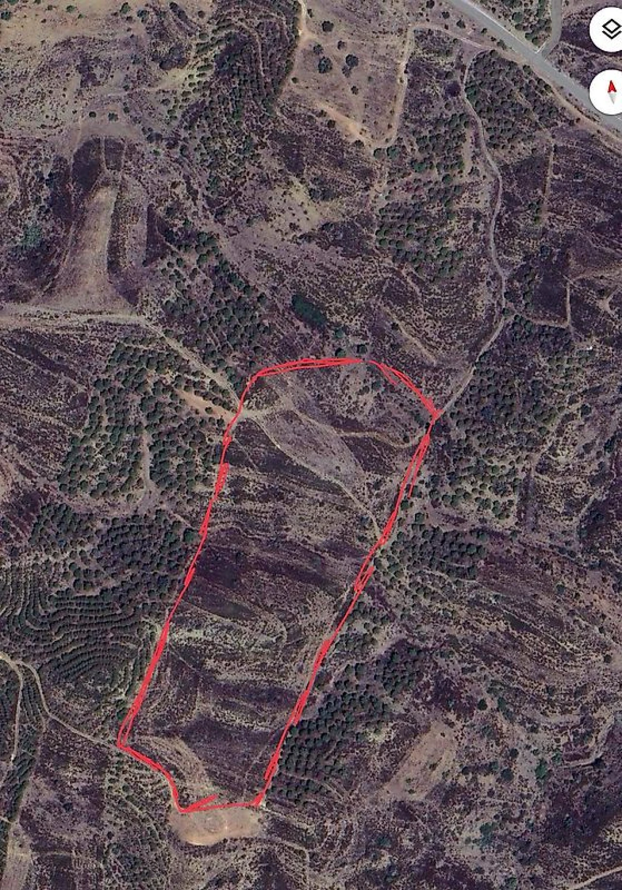 Terreno para Venda em Azinhal Foto 16