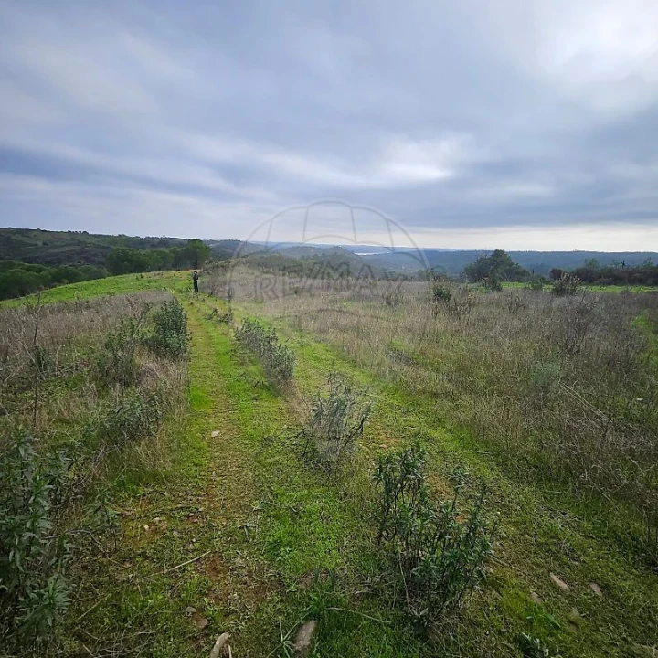 Terreno para Venda em Azinhal Foto 2
