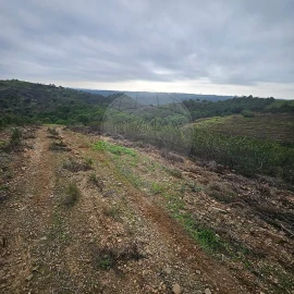 Terreno para Venda em Azinhal