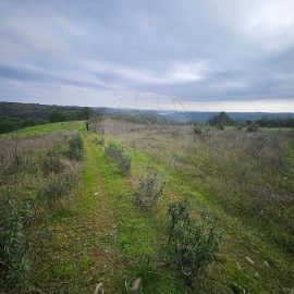 Terreno para Venda em Azinhal