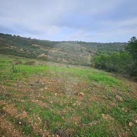 Terreno para Venda em Azinhal
