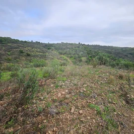 Terreno para Venda em Azinhal