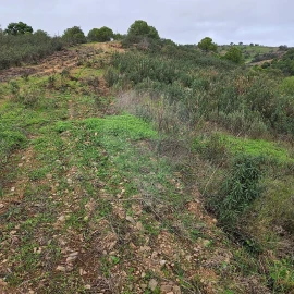 Terreno para Venda em Azinhal