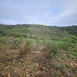 Terreno para Venda em Azinhal