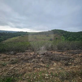 Terreno para Venda em Azinhal