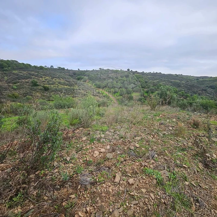 Terreno para Venda em Azinhal Foto 11