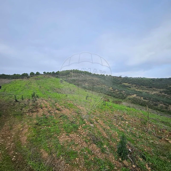 Terreno para Venda em Azinhal Foto 7