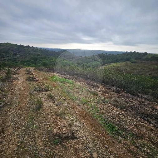 Terreno para Venda em Azinhal Foto 14