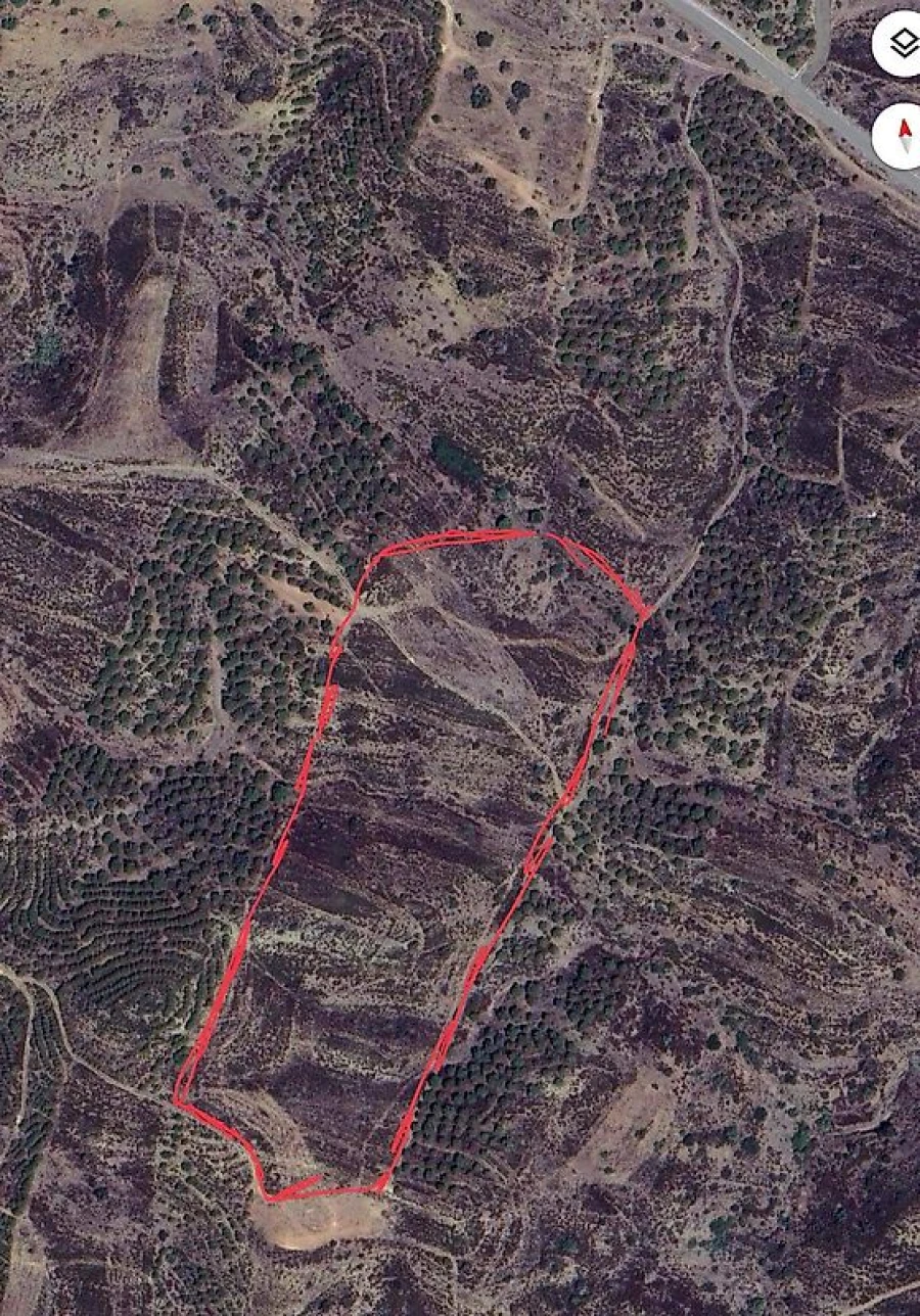 Terreno para Venda em Azinhal Foto 16
