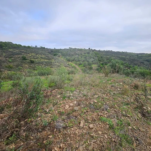 Terreno para Venda em Azinhal Foto 11