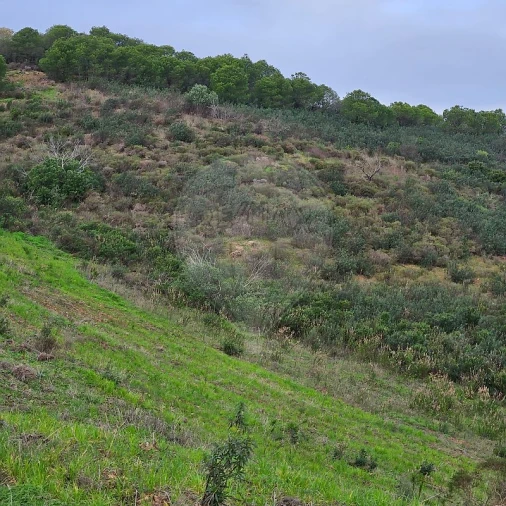 Terreno para Venda em Azinhal Foto 8
