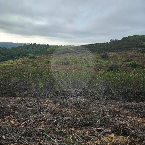 Terreno para Venda em Azinhal Foto 12