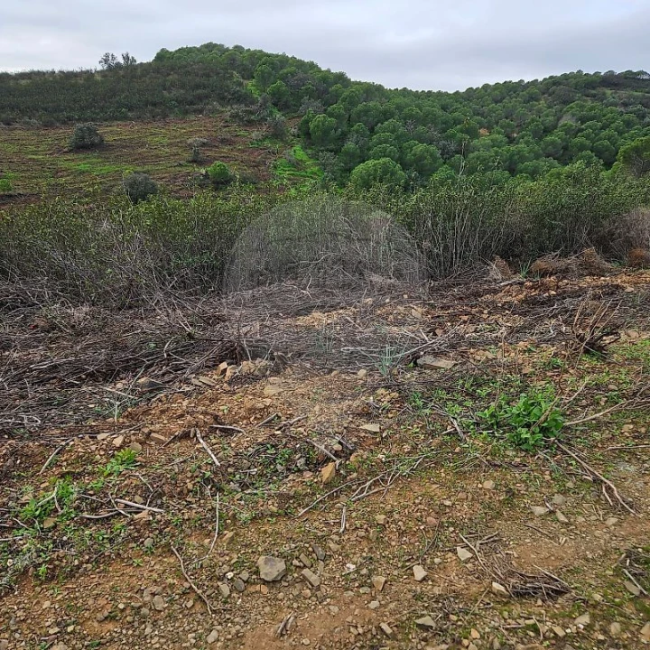 Terreno para Venda em Azinhal Foto 9