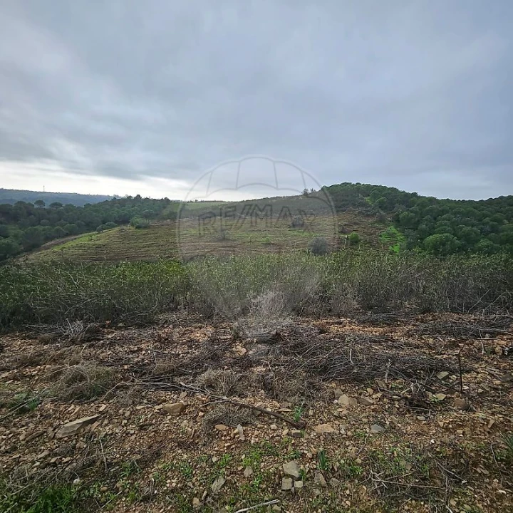 Terreno para Venda em Azinhal Foto 3
