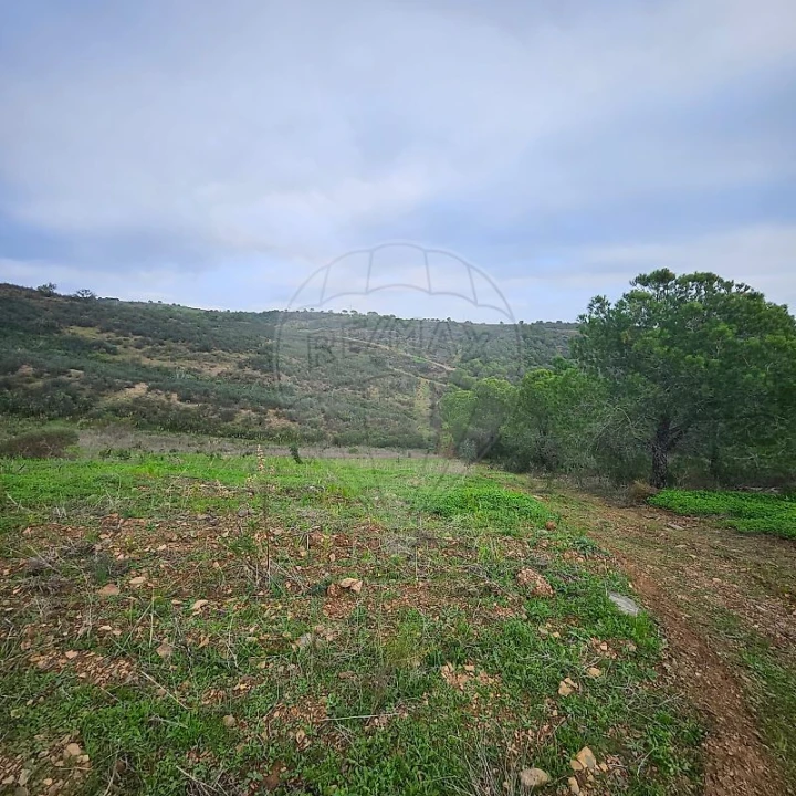 Terreno para Venda em Azinhal Foto 5