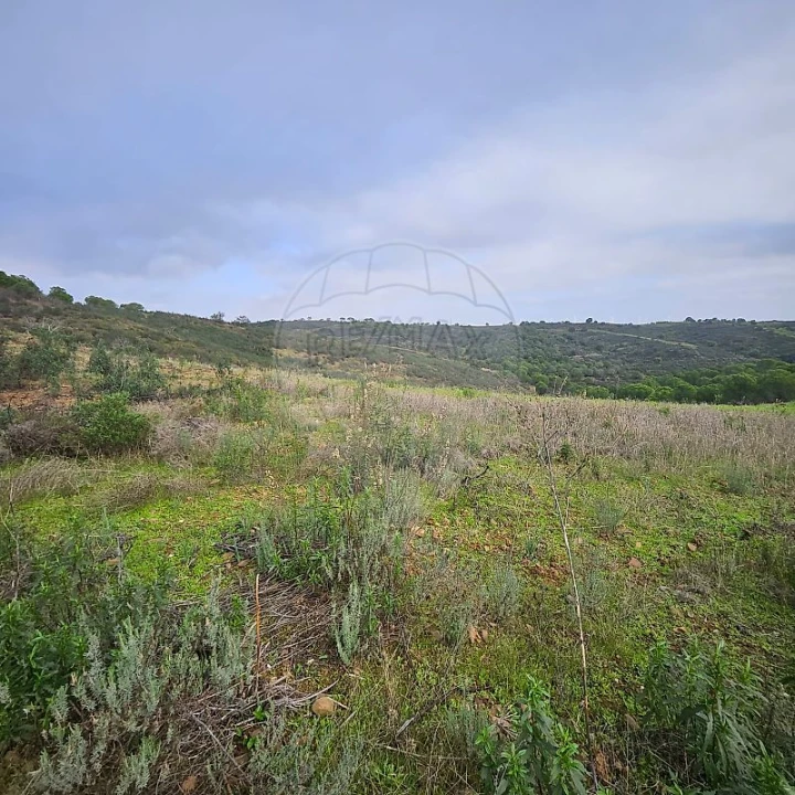 Terreno para Venda em Azinhal Foto 1