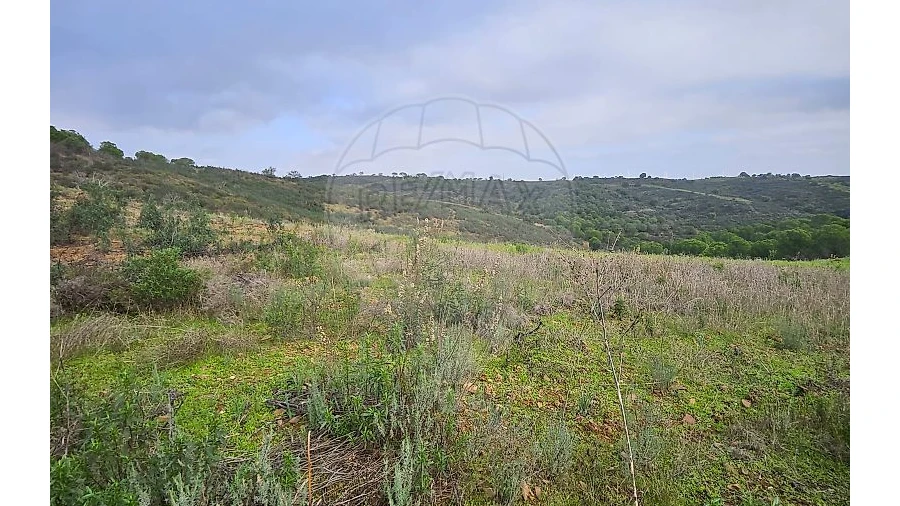 Terreno para Venda em Azinhal
