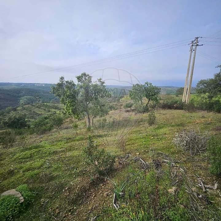 Terreno para Venda em Azinhal Foto 15