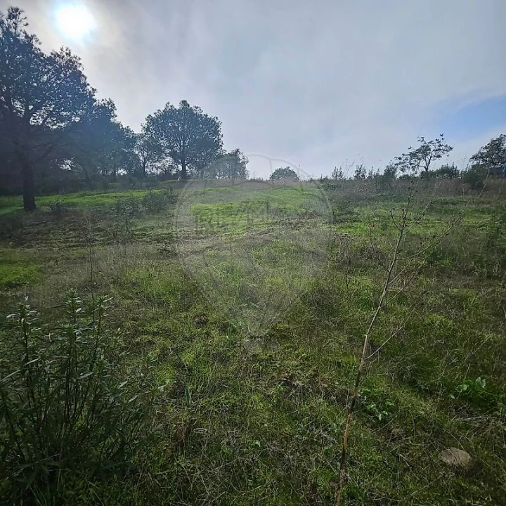 Terreno para Venda em Azinhal Foto 17