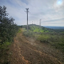 Terreno para Venda em Azinhal