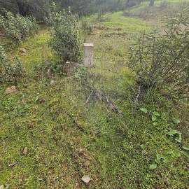 Terreno para Venda em Azinhal