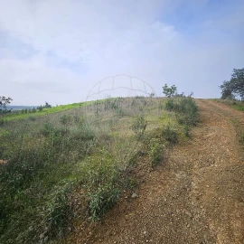 Terreno para Venda em Azinhal