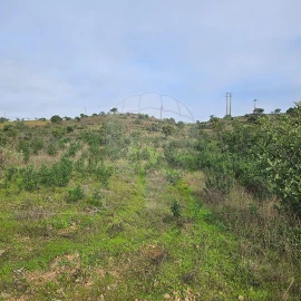 Terreno para Venda em Azinhal