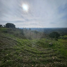 Terreno para Venda em Azinhal