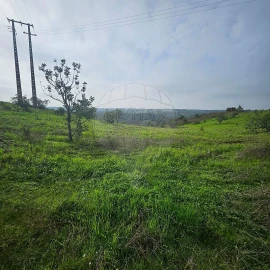Terreno para Venda em Azinhal