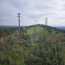 Terreno para Venda em Azinhal