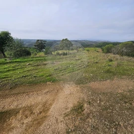 Terreno para Venda em Azinhal