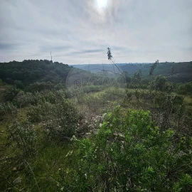 Terreno para Venda em Azinhal