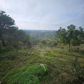Terreno para Venda em Azinhal